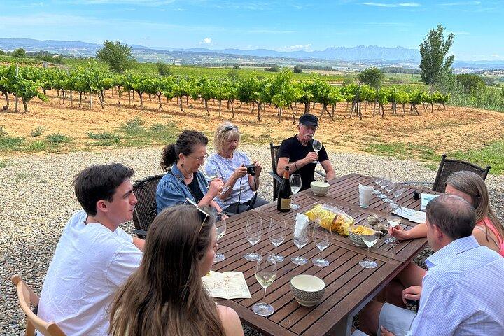 Tour del Cava e del vino da Barcellona