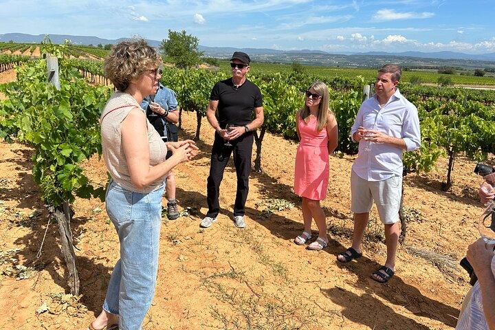 Tour del Cava e del vino da Barcellona
