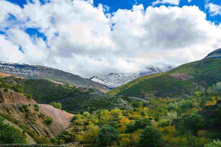Day Trip from Marrakech Explore the Atlas Mountains and 4 Valleys