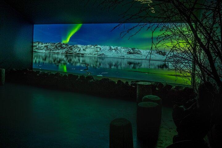 Aurora Reykjavík, visita al museo del Centro de la Aurora Boreal