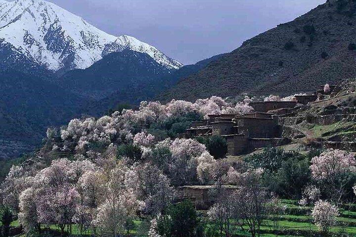Excursion to the Ourika Valley from Marrakech