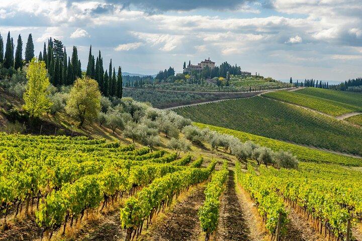 Chianti Wine Tour - privéwijnervaring op het platteland van Toscane