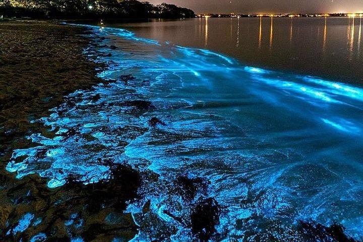 Night Tour-Luminating Blue Lagoon Waters