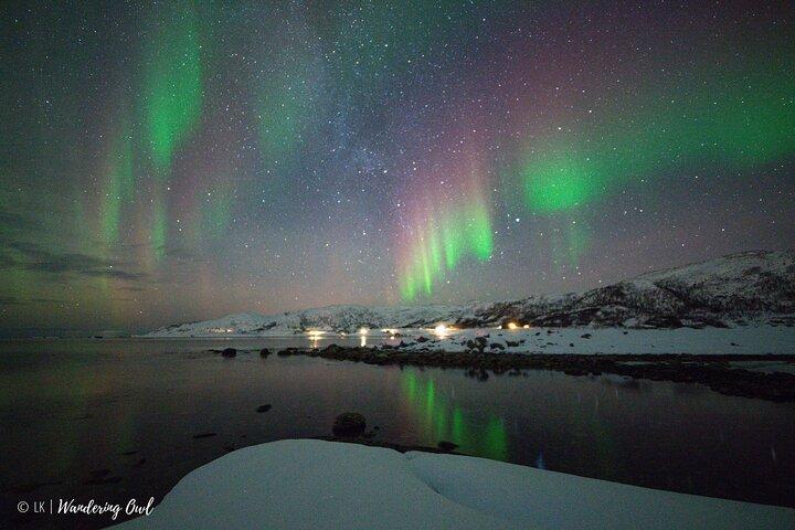Tromsö: Express Aurora Hunt med vandrande uggla