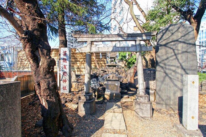 Best of Tokyo City Walking Tour for Kids and Families