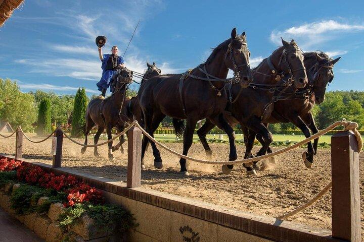 Budapest à Godollo Palace Visite privée avec option Horse Show