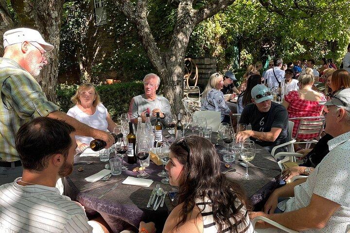 Douro Valley Small-Group Wine Tour: 2 vinícolas, cruzeiro e almoço