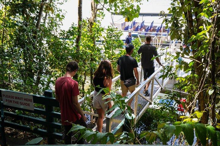 Morgendliche Daintree Tour mit Flusskreuzfahrt ab Port Douglas