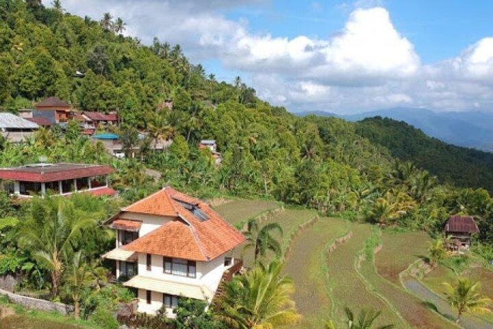 冒険心のある人向けにカスタマイズされた 6 日間のバリ旅行: プライベート ツアー。