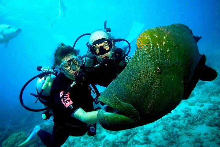 冒険心のある人向けにカスタマイズされた 6 日間のバリ旅行: プライベート ツアー。