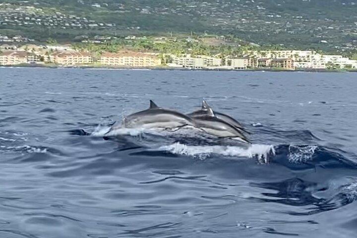 Noleggio privato di 6 ore a Kona