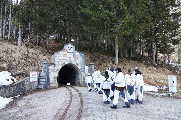 Visite guidée privée de Vienne à Hallstatt avec Skywalk & Salt Mine Experience