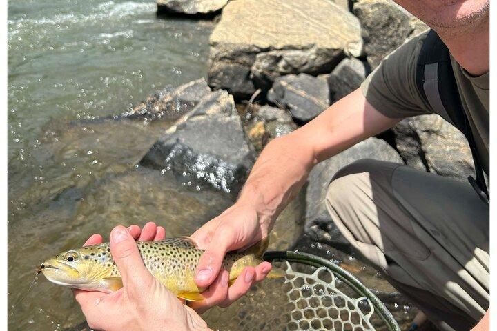 Lezione di pesca a mosca di mezza giornata su Clear Creek vicino a Denver