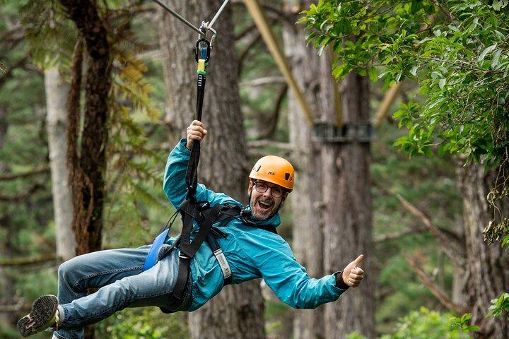 Adventurous Zipline Tour in Coromandel