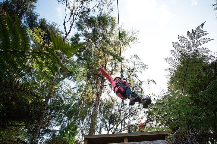 Adventurous Zipline Tour in Coromandel