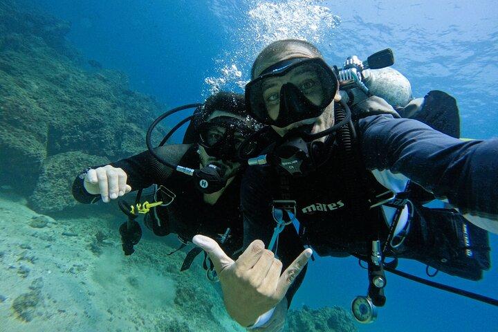 From Abu Dhabi: 2 Dives for Certified Divers in Fujairah