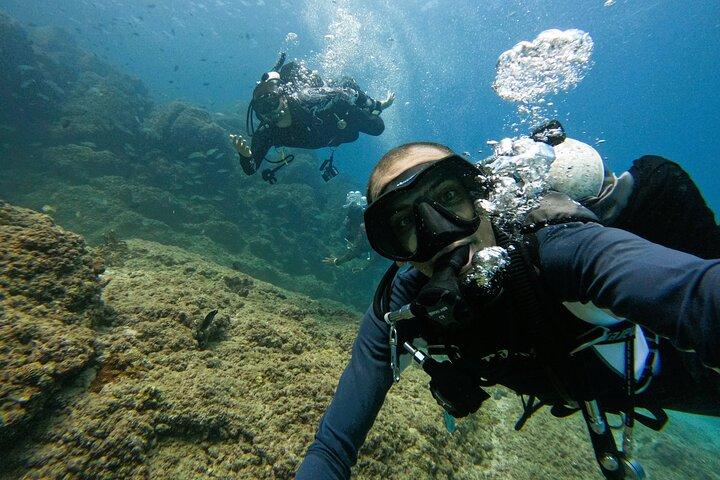 From Abu Dhabi: 2 Dives for Certified Divers in Fujairah