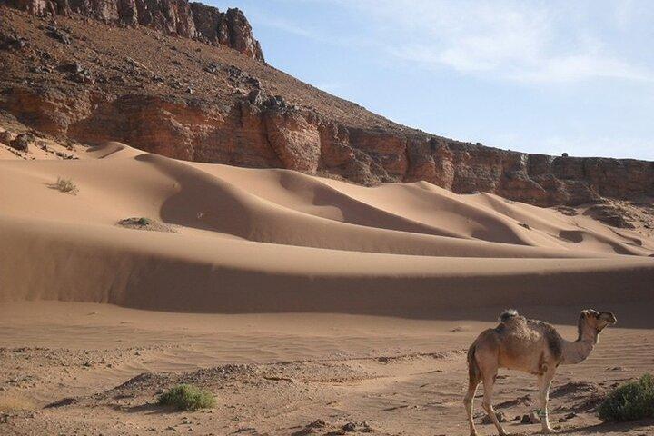 2 days in the desert from Marrakech