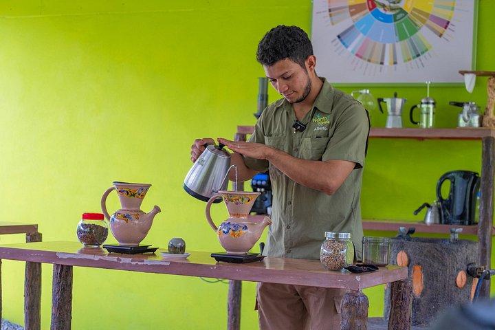 Authentic Coffee and Chocolate Tour at North Fields