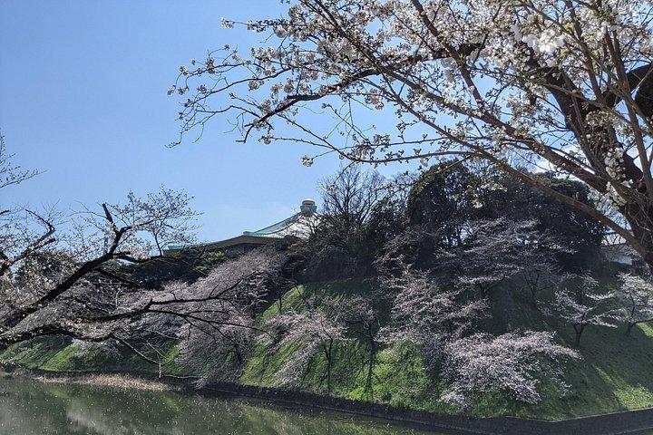 皇居東御苑ウェルネスツアー（昼食付き）