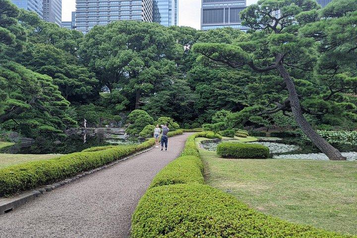 皇居東御苑ウェルネスツアー（昼食付き）