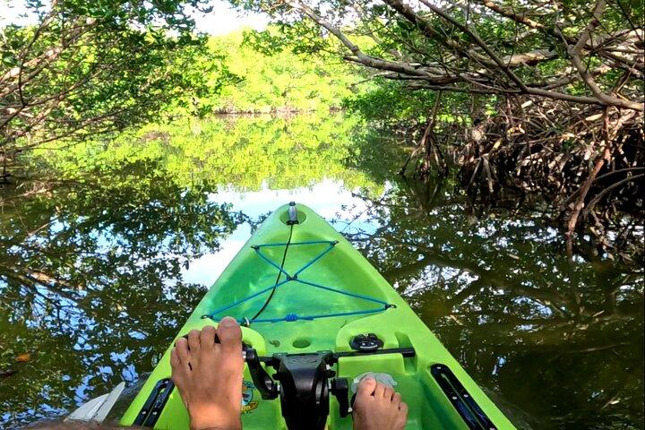 Tour del tunnel delle mangrovie in kayak a pedali a Bradenton