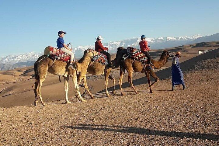 paragliding in Agafay Desert with Camel Ride