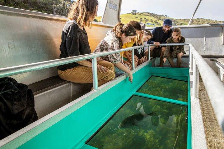 Tour en bateau à fond de verre