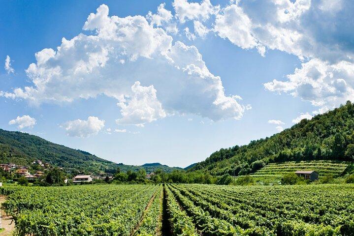De Milão Dia Inteiro em Franciacorta 2 Vinícolas e Almoço