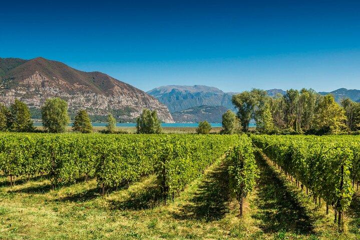 De Milão Dia Inteiro em Franciacorta 2 Vinícolas e Almoço