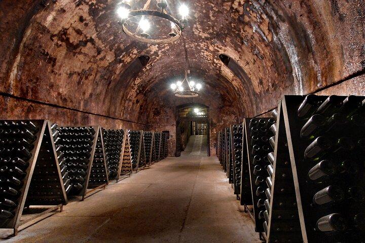 De Milão Dia Inteiro em Franciacorta 2 Vinícolas e Almoço