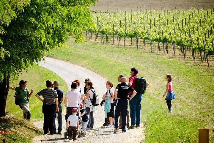 De Milão Dia Inteiro em Franciacorta 2 Vinícolas e Almoço