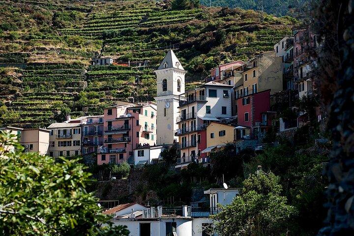 Excursion privée Cinque Terre au départ de Florence AVEC OU SANS Pise