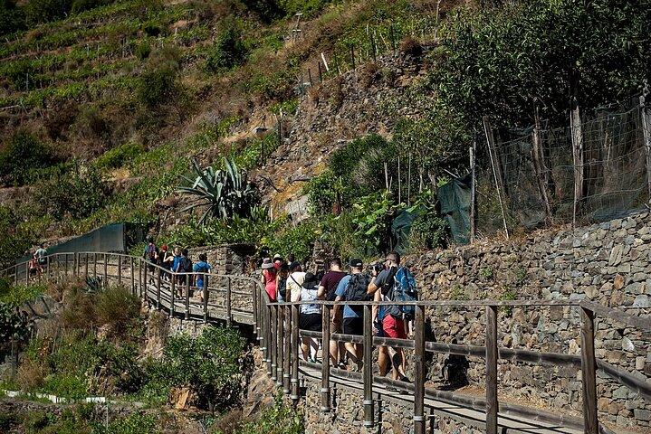 Excursion privée Cinque Terre au départ de Florence AVEC OU SANS Pise