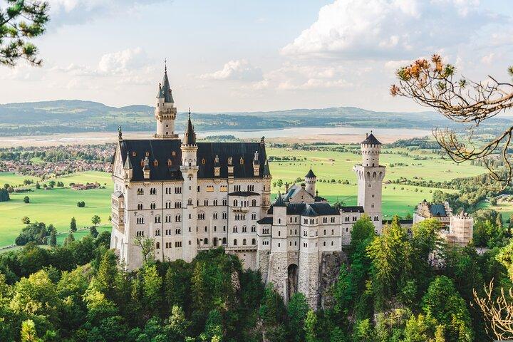 Spring køen over Neuschwanstein Castle Tour fra Hohenschwangau