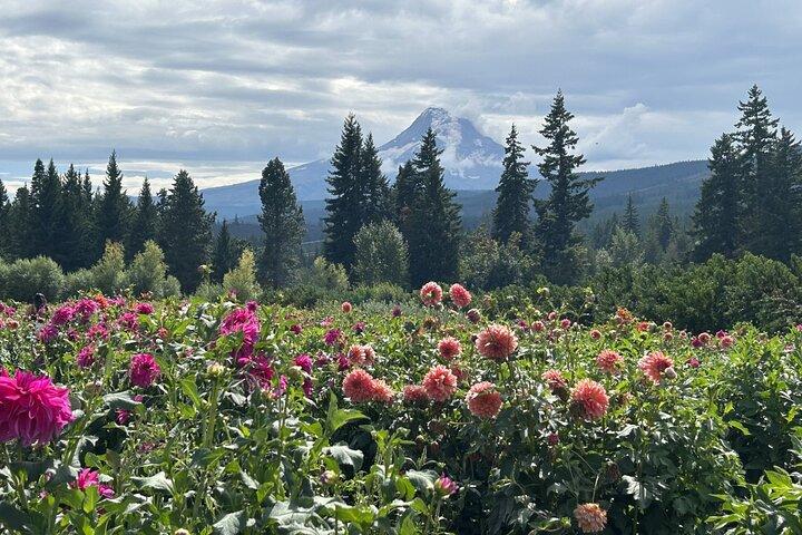 Excursão para Monte Hood saindo de Portland para a Cachoeira Multnomah e Rio Hood