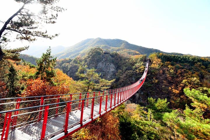 Seoul DMZ Tour with 3rd Tunnel and Red Suspension Bridge