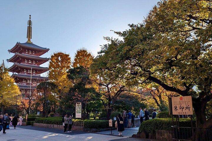 スペイン語による伝統的な東京の8時間プライベート ツアー