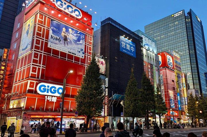 スペイン語による伝統的な東京の8時間プライベート ツアー