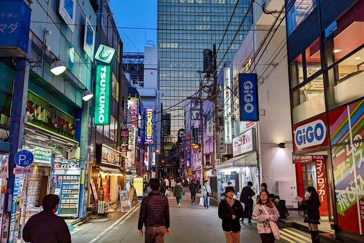 スペイン語による伝統的な東京の8時間プライベート ツアー