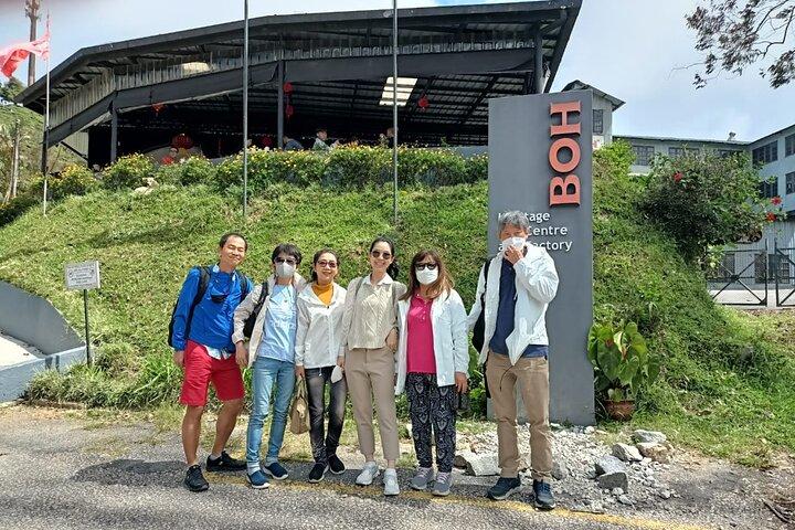 Full Day Cameron Highlands Adventure From Kuala Lumpur