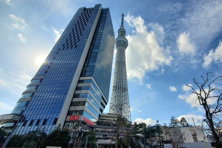 Tokyo Full-Day Private Tour (Customizable)