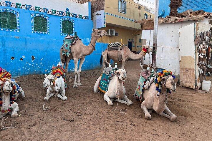 4 - Day Nile-kryssning från Aswan till Luxor | Tempel, gravar och rundturer