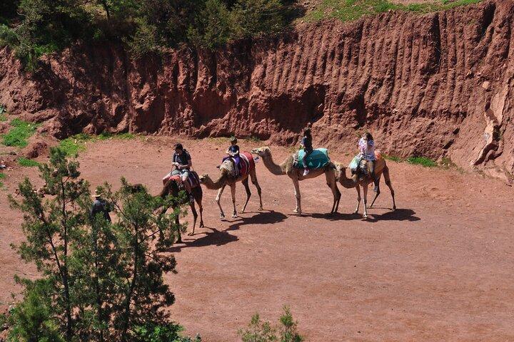 camel ride experience at sunset in the agafay desert