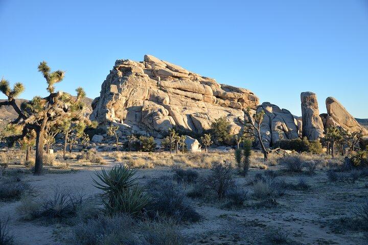 2 - Tagestour zum Joshua Tree Nationalpark ab Los Angeles