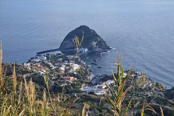 Ischia Private Tour with Food Tastings & Ischia Hotel Pick-Up