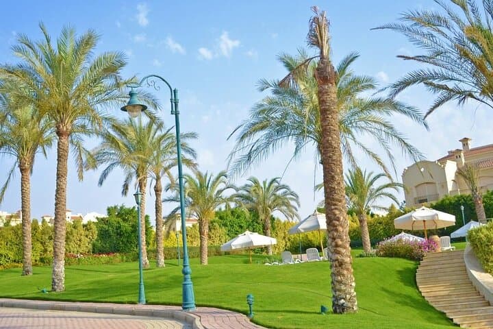 Private Transfer Luxor To Sahl Hasheesh - Car & Minibus Options