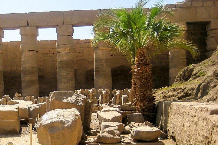 プライベート送迎Sahl Hasheesh To Luxor - 車＆ミニバスオプション