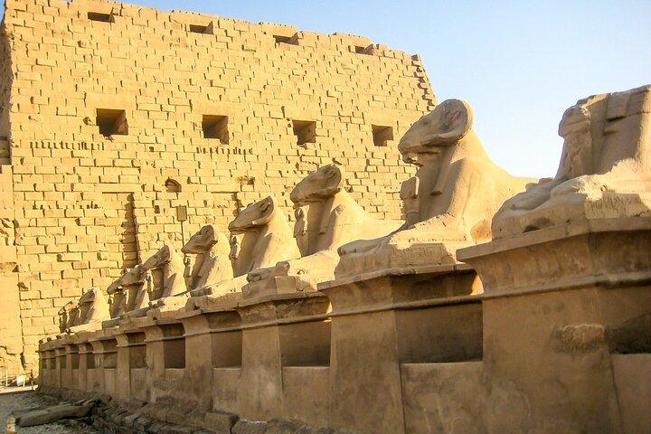 プライベート送迎Sahl Hasheesh To Luxor - 車＆ミニバスオプション