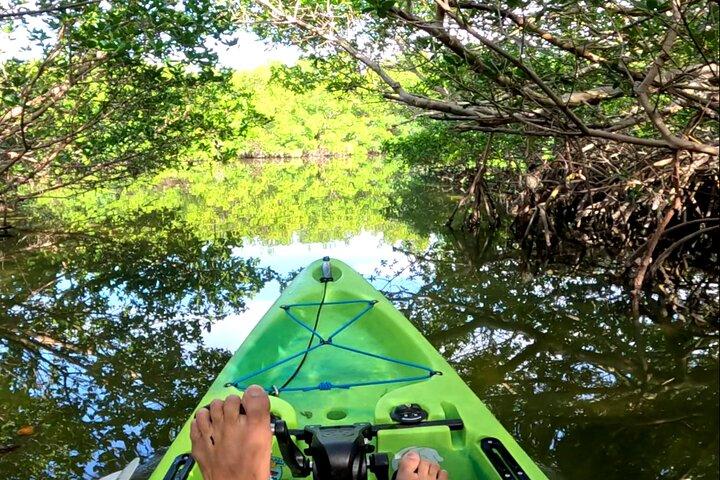 Tour ecologico in kayak a pedali nei tunnel di mangrovie ad Anna Maria